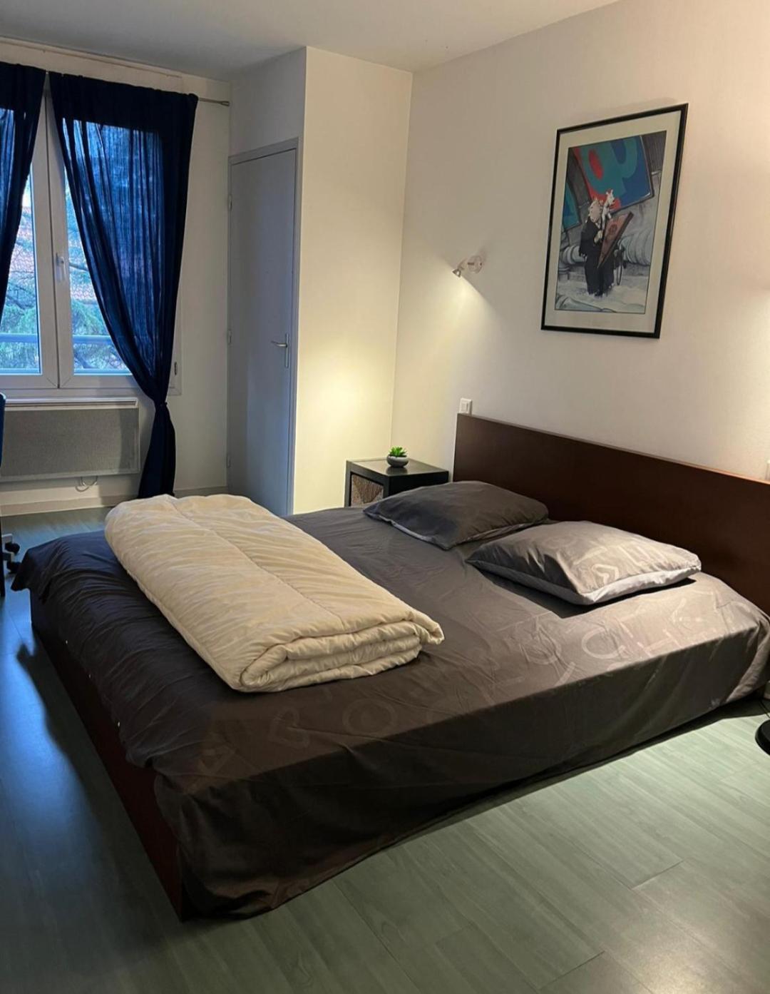 115 Rue Vauban Lião Exterior foto